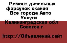 Ремонт дизельных форсунок скания HPI - Все города Авто » Услуги   . Калининградская обл.,Советск г.